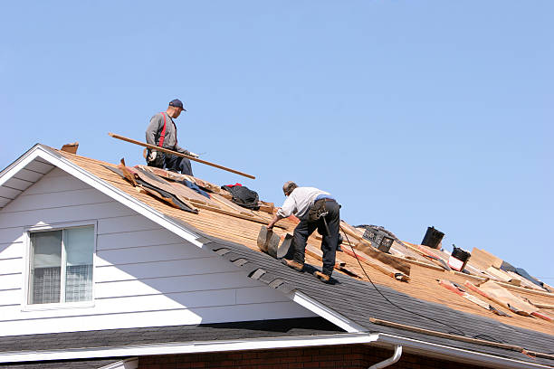 Best Asphalt Shingle Roofing  in Parma, OH